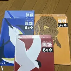 予習シリーズ 6年下 難関校対策 4教科セット - メルカリ