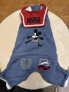 ⭐︎ペットパラダイス ディズニー ロンパース DSS 裏起毛 ミッキー 美品⭐︎