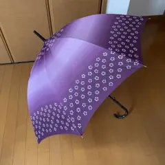 Item thumbnail for item 6c8420ed-e2ca-4ac9-b72f-01a62d0dcd6b