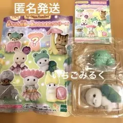 赤ちゃん妖精の森のなかまたちシリーズ　アザラシの赤ちゃん　マフィ