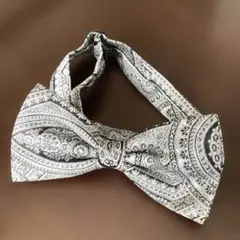 Item thumbnail for item 0a6f0f89-4f59-4161-87dd-3916a582f05f