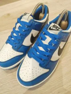 NIKE DUNK NG SL ナイキ ダンク ゴルフシューズ 靴 - メルカリ