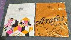 嵐 アラフェス2020 Ｔシャツ２枚セット