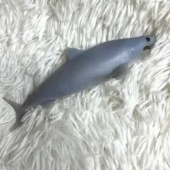 アンドコ　サメ　ホホジロザメ　スーパーアニマルアンドコ