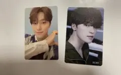 SEVENTEEN セブチ ディノ トレカ FML