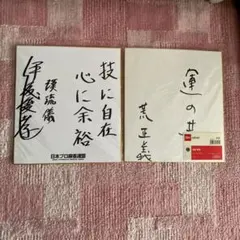 松本 幸四郎、中村勘九郎　直筆サイン色紙　歌舞伎セット 松本 幸四郎、中村勘九郎 直筆サイン色紙 歌舞伎セット - メルカリ
