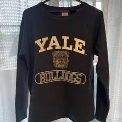 Champion T1011 YALE ブルドッグロンT USA製 M