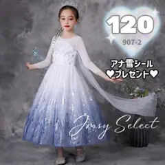 120cm▶︎メッシュ長袖　白紫青　エルサドレス　アナ雪2　ディズニープリンセス