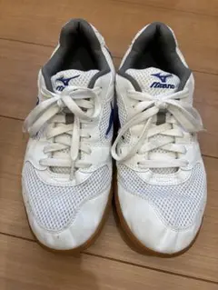 Mizuno メッシュシューズ ホワイト/ブルー