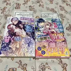 婚約破棄した没落令嬢ですが拾った氷の騎士が甘く囁いてきます - メルカリ