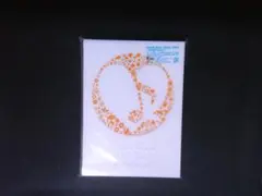 KinKi Kids 2010-2011　君も堂本FAMILY　初回盤　DVD
