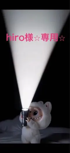 hiro様専用ページ