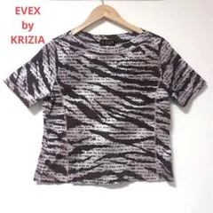 【EVEXbyKRIZIA】半袖カットソー　Tシャツ　サイズ42のサムネイル