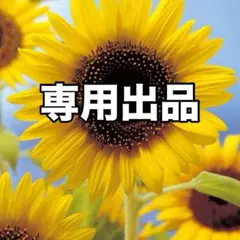 専用　追加送料