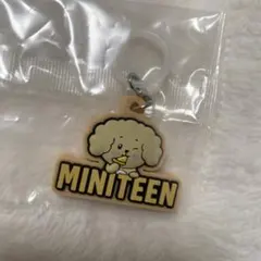 ミニティーンぷっくりめじるしアクセサリー　ドギョム