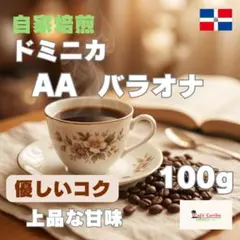 自家焙煎コーヒー　ドミニカ　AA　バラオナ【中深煎り】100gのサムネイル