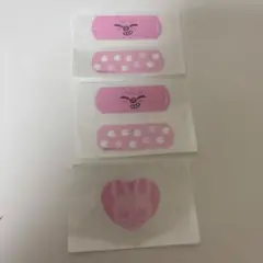 SKZOOチャームエイドDwaekki