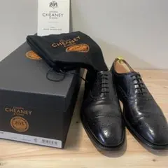 JOSEPH CHEANEY ジョセフチーニー　FRANCIS フランシスのサムネイル