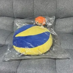 ハイキュー‼︎ 日向翔陽