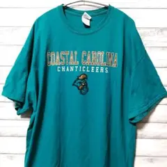 GILDAN　Tシャツ　XL　カレッジ　USA古着