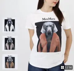 クリーニング済み Max Mara ウィリアム・ウェグマン Tシャツ - メルカリ