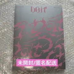 【24時間以内発送】StrayKids スキズ DO IT ITver doit