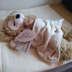 salut! サリュ おひるねワンコ BIG ぬいぐるみ 抱きまくら 犬 いぬ