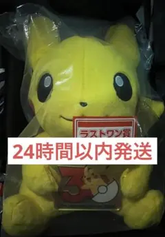 ポケモン 一番くじ ラストワン賞 ピカチュウ 30周年記念ぬいぐるみ