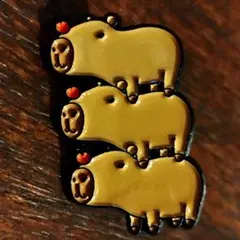 yamaru1028様 リクエスト4点 まとめ 　　*要確認 猫ピンバッジ　魚