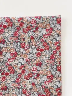 0.35m libertyタナローンchive