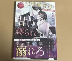 完璧御曹司の年の差包囲網で甘く縛られました