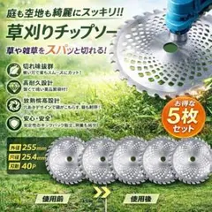 교체용 블레이드 255mm 40 블레이드 5 개 세트 칩 톱 커터 잔디 깎는 기계 잔디 깎는 기계