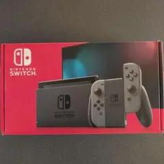 Nintendo Switch 本体 グレー ACアダプター付き