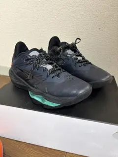 Item thumbnail for item 2f83057f-26d7-406b-bc55-0c57a3e9a247