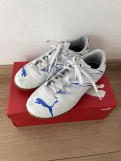 Item thumbnail for item 7dbb1dcc-51b7-4707-af7b-035216e16e66