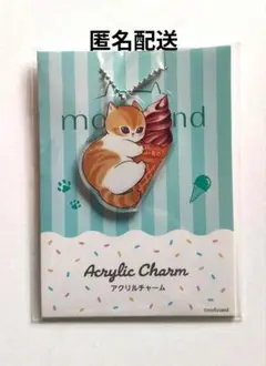 mofusand モフサンド ファミマ限定　アクリルチャーム 　チョコソフト