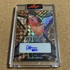 Item thumbnail for item 400ce6b7-90e6-45ac-878b-67d16e861973