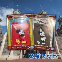 きよきよ★プロフ必読★様 リクエスト 2点 まとめ商品