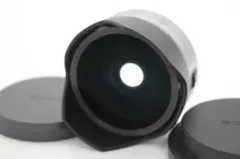 2025年最新】sony フィッシュアイコンバーターの人気アイテム