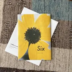 COMME des GARCONS DM Six 2026 AW