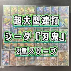 本格構築【クローシス覇覇覇ジャオウガ】デッキ＆二重スリーブ - メルカリ