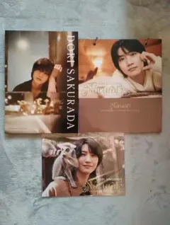 Item thumbnail for item c8b41f17-0390-406f-9f7d-274c8ee55260