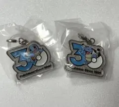 ポケモン 30周年 メタルチャームマスコット ゼニガメ　カメックス
