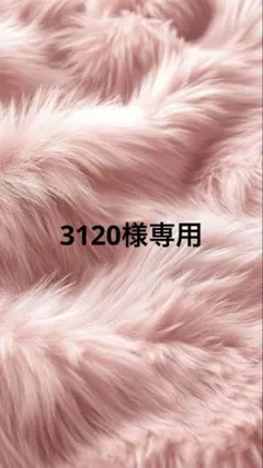 3120様専用