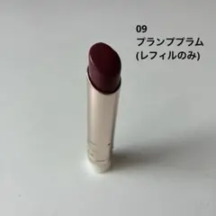 RMK デューイーメルト リップカラー（レフィル）09 プランププラム