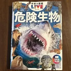 Item thumbnail for item ecc6a7e5-a7ae-4903-ad7c-77ffb9014c7a