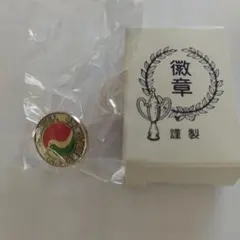 宅建 バッジ 全国宅地建物取引 ピンバッジ ハトマーク 不動産 非売品