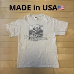 『レア』Harley-Davidson Hanes Beefy Tシャツのサムネイル