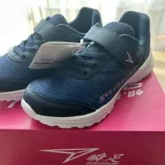 Item thumbnail for item 753c2f68-45d9-46b8-9493-f61d1f275c99