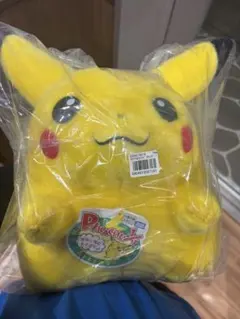 ポケモン30周年記念おかえり!ピカチュウ1/1
